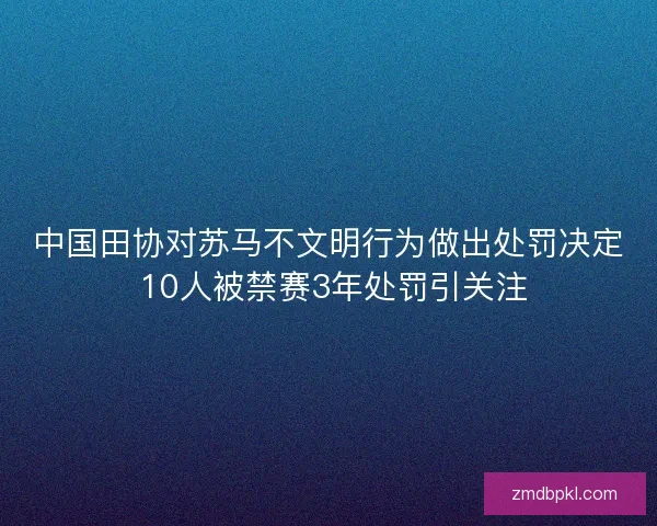 中国田协对苏马不文明行为做出处罚决定 10人被禁赛3年处罚引关注