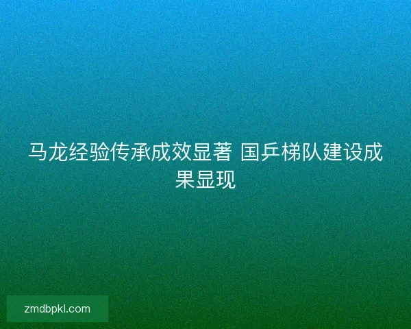 马龙经验传承成效显著 国乒梯队建设成果显现